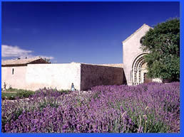 Prieuré Salagon avec jardins des plantes aromatique de Provence Provence-Pflanzgarten